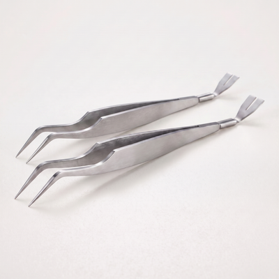 Two Tick Removal Keys