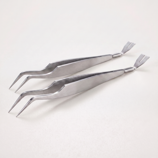 Two Tick Removal Keys